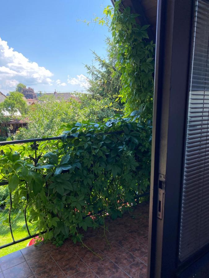 Hotel Penzion Country Club Žamberk Zewnętrze zdjęcie